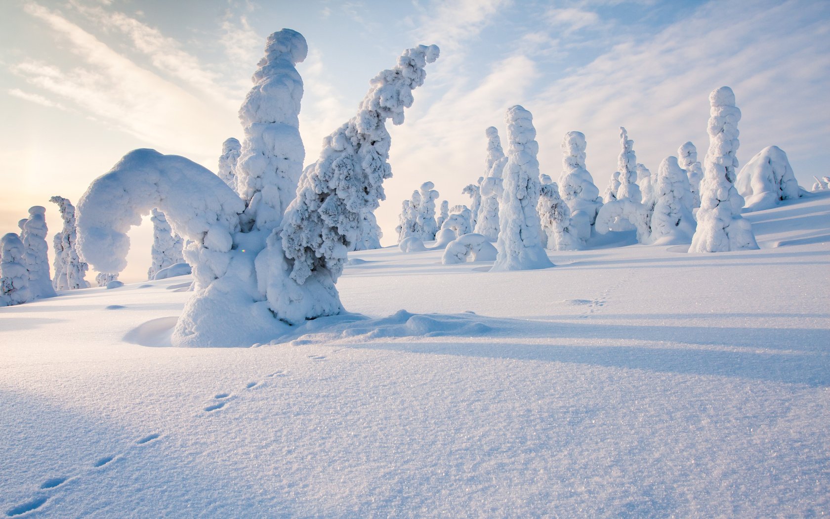 Обои деревья, снег, природа, лес, зима, следы, финляндия, steve dodkins, trees, snow, nature, forest, winter, traces, finland разрешение 3840x2400 Загрузить