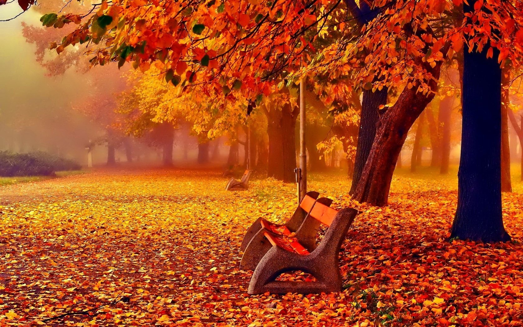 Обои деревья, листья, парк, туман, осень, скамейки, листопад, аллея, trees, leaves, park, fog, autumn, benches, falling leaves, alley разрешение 2048x1365 Загрузить