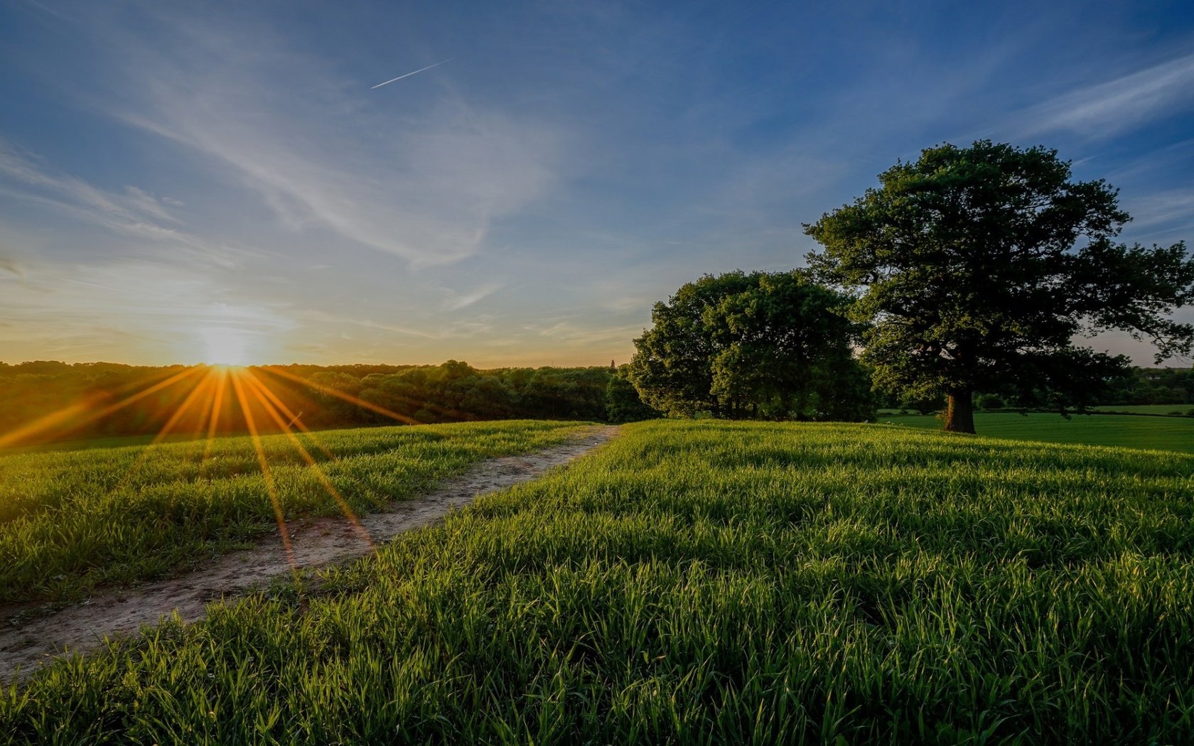 Обои природа, лес, пейзаж, утро, поле, рассвет, nature, forest, landscape, morning, field, dawn разрешение 1920x1080 Загрузить