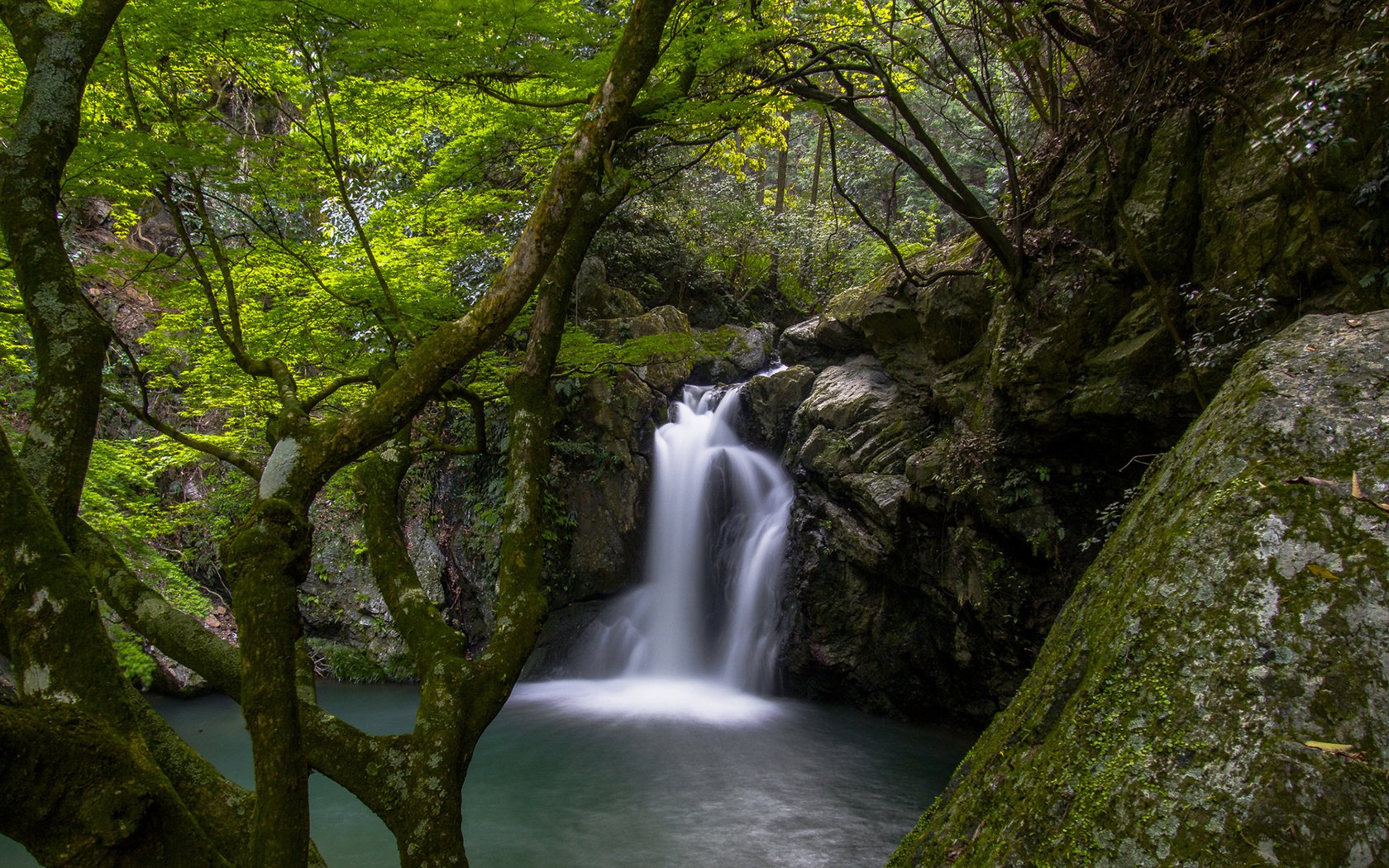 Обои деревья, река, природа, лес, водопад, мох, trees, river, nature, forest, waterfall, moss разрешение 1920x1200 Загрузить