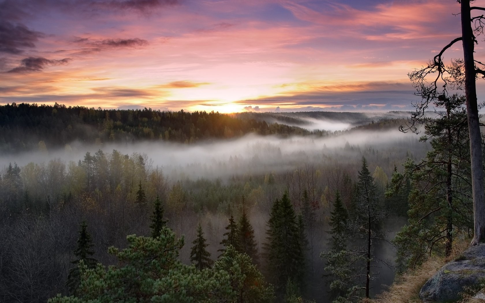 Обои деревья, восход, лес, пейзаж, утро, туман, национальный парк, финляндия, trees, sunrise, forest, landscape, morning, fog, national park, finland разрешение 3840x2160 Загрузить