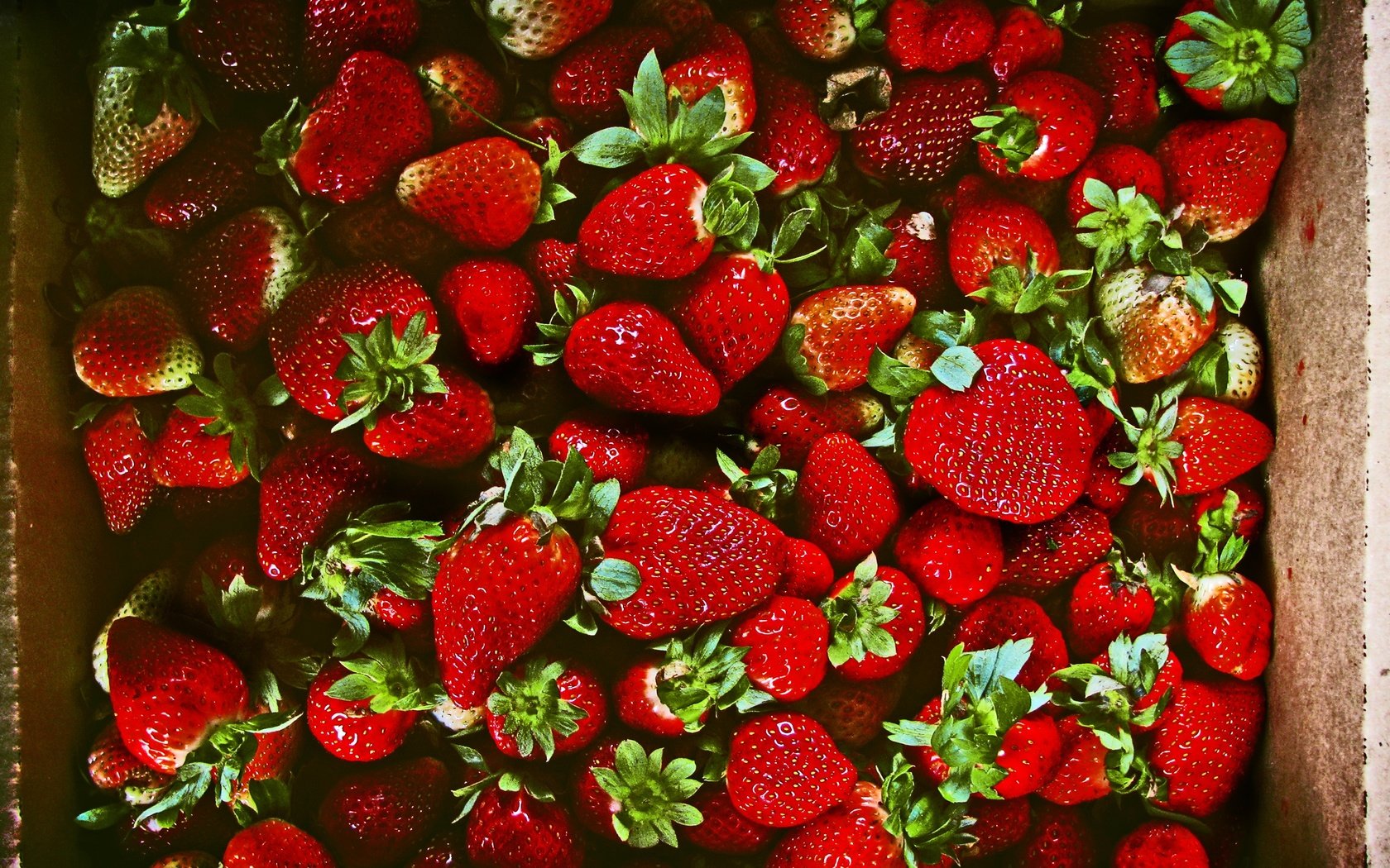 Обои клубника, ягоды, много, strawberry, berries, a lot разрешение 3264x2448 Загрузить