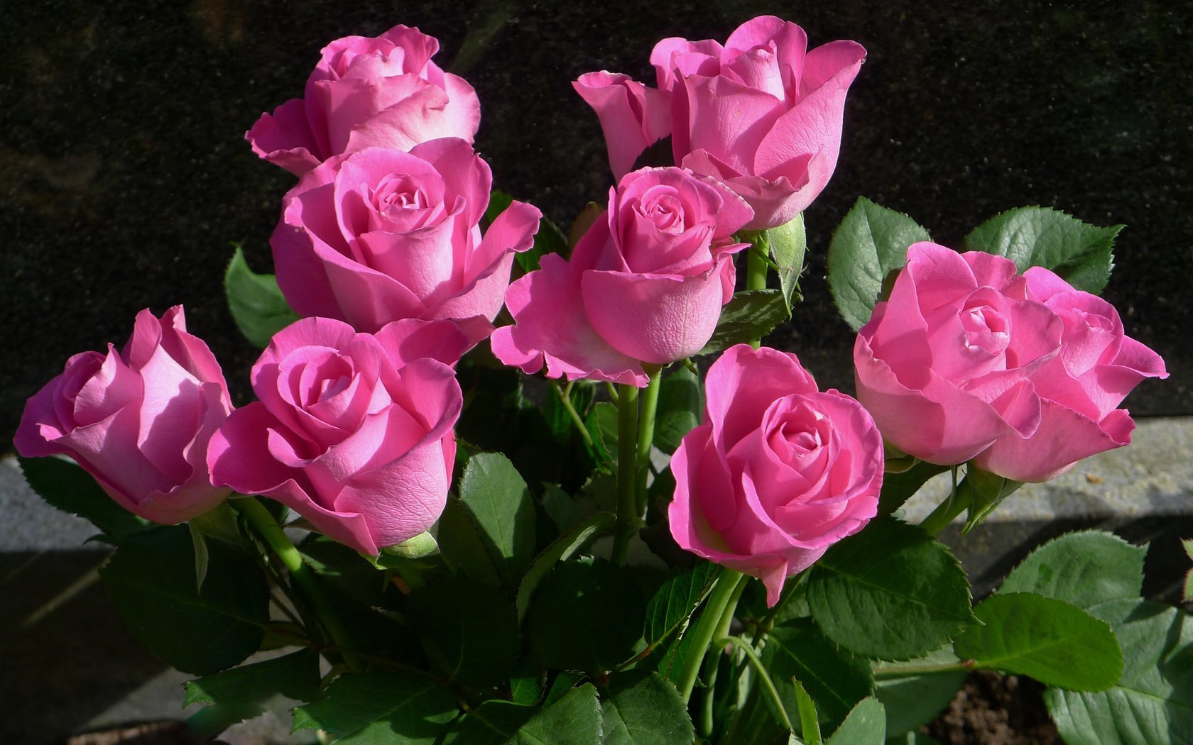 Обои цветы, бутоны, розы, лепестки, букет, розовые, flowers, buds, roses, petals, bouquet, pink разрешение 3264x2352 Загрузить