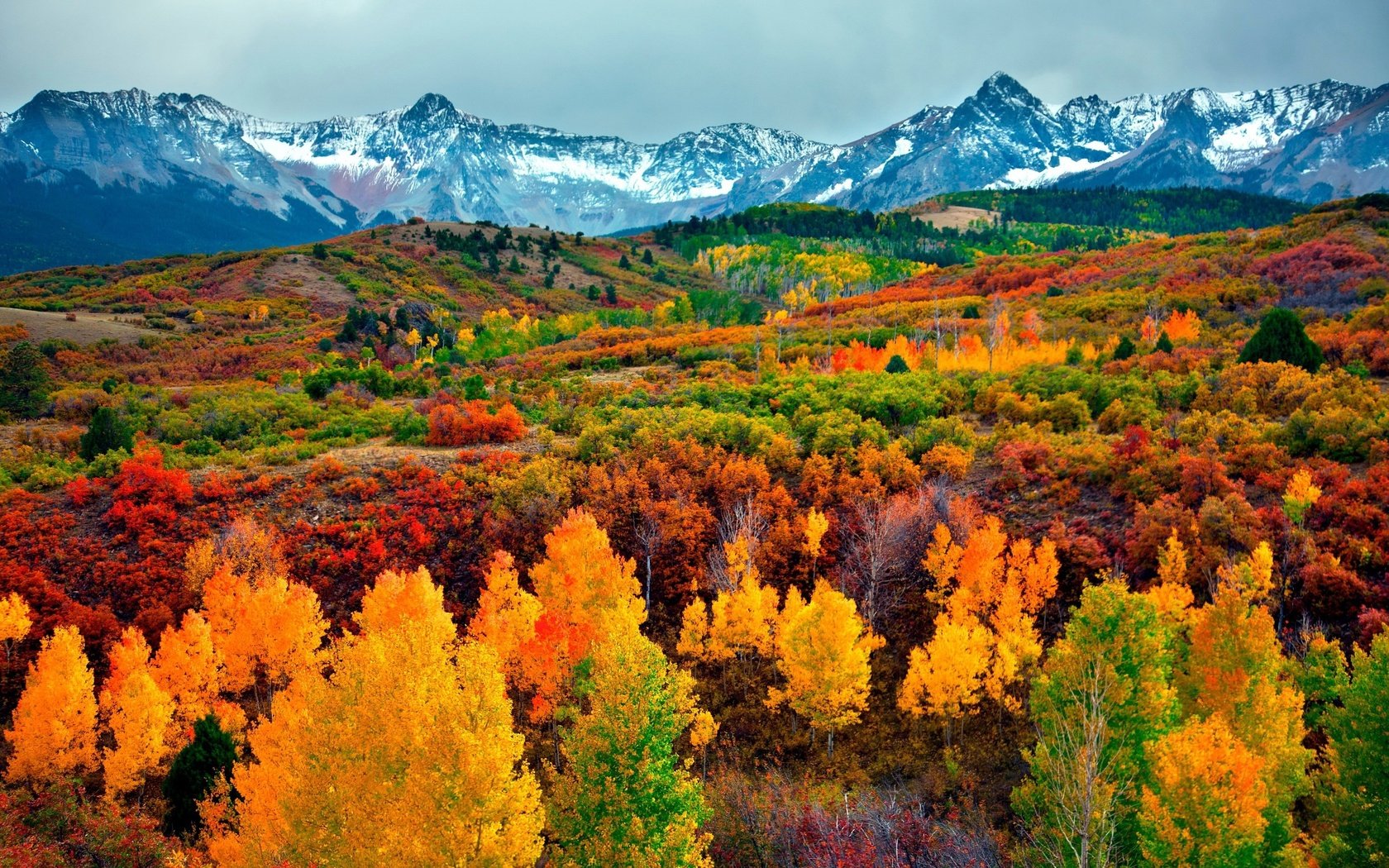 Обои небо, деревья, горы, снег, лес, осень, the sky, trees, mountains, snow, forest, autumn разрешение 3000x2000 Загрузить