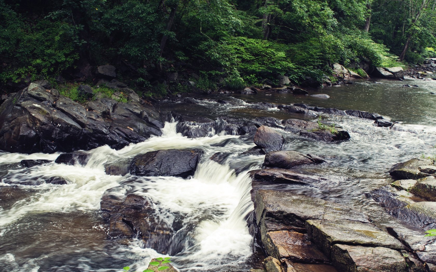 Обои река, скалы, камни, листва, river, rocks, stones, foliage разрешение 3840x2160 Загрузить