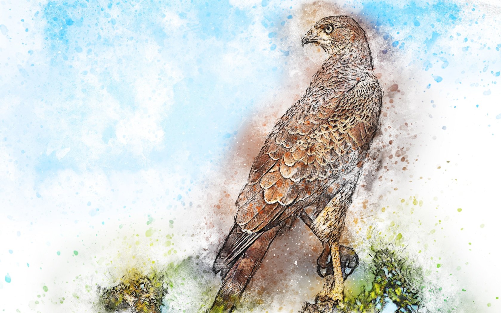 Обои картина, сидит, птица, акварель, сокол, picture, sitting, bird, watercolor, falcon разрешение 3000x2250 Загрузить