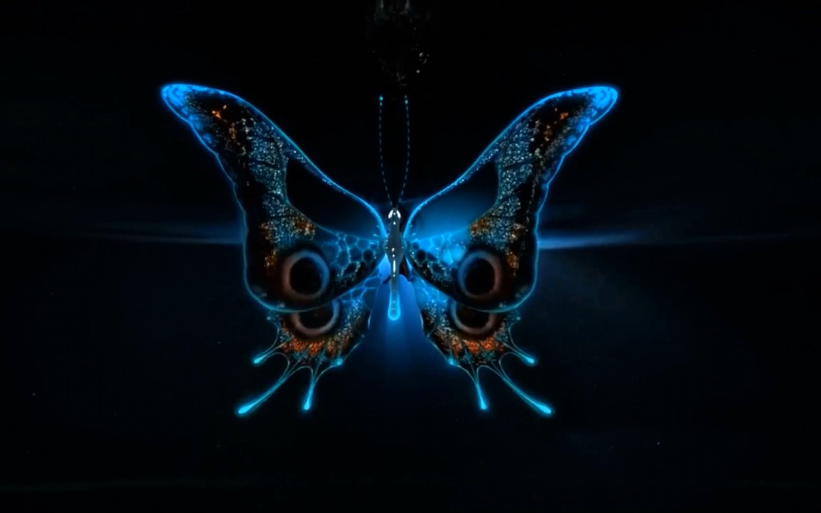 Обои свет, неон, насекомое, бабочка, крылья, черный фон, 3д, light, neon, insect, butterfly, wings, black background, 3d разрешение 1920x1080 Загрузить