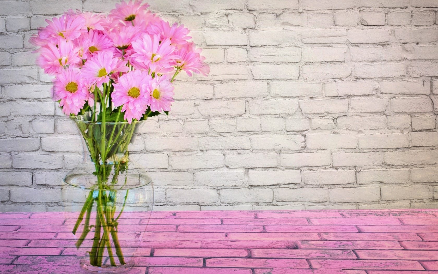 Обои цветы, букет, розовый, ваза, маргаритки, flowers, bouquet, pink, vase, daisy разрешение 5564x3710 Загрузить