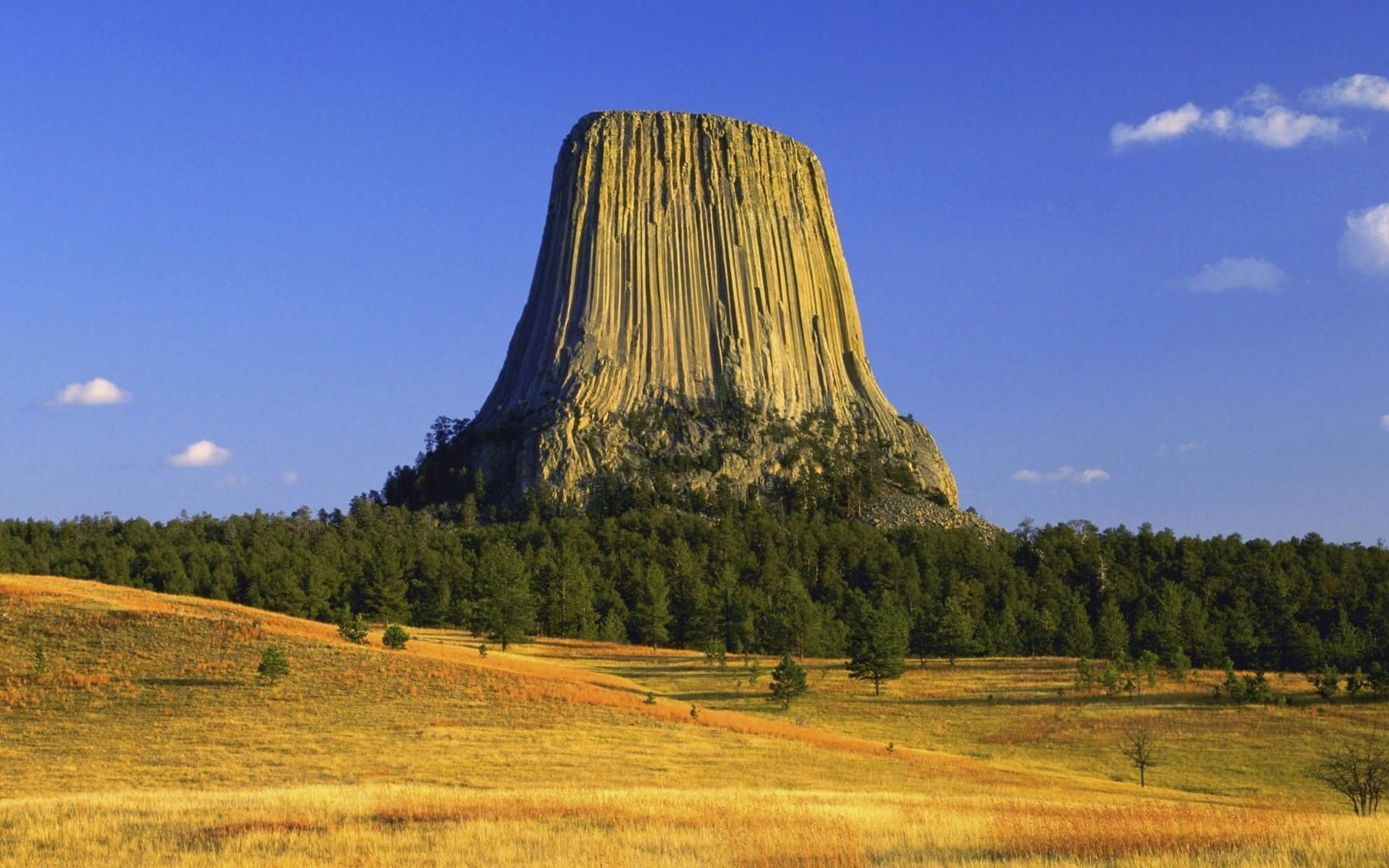 Обои деревья, осень, сша, плато, вайоминг, башня дьявола, trees, autumn, usa, plateau, wyoming, devil's tower разрешение 1920x1080 Загрузить