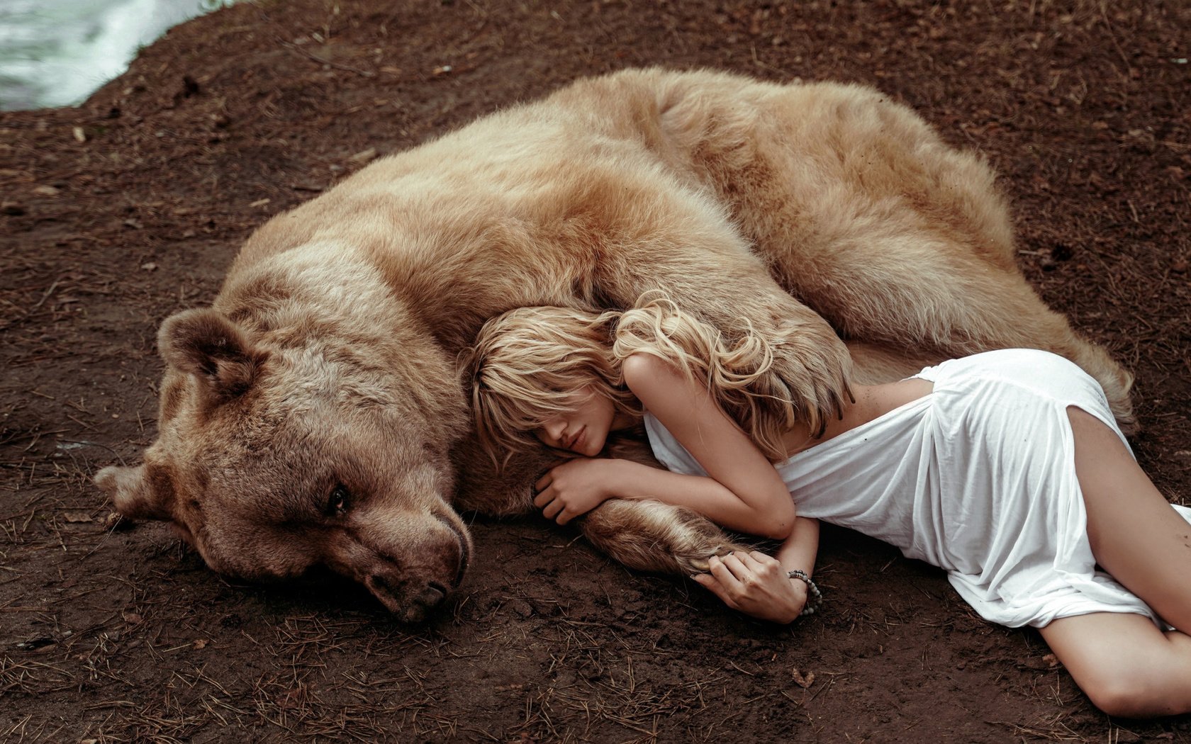 Обои девушка, поза, лапы, медведь, girl, pose, paws, bear разрешение 2112x1188 Загрузить
