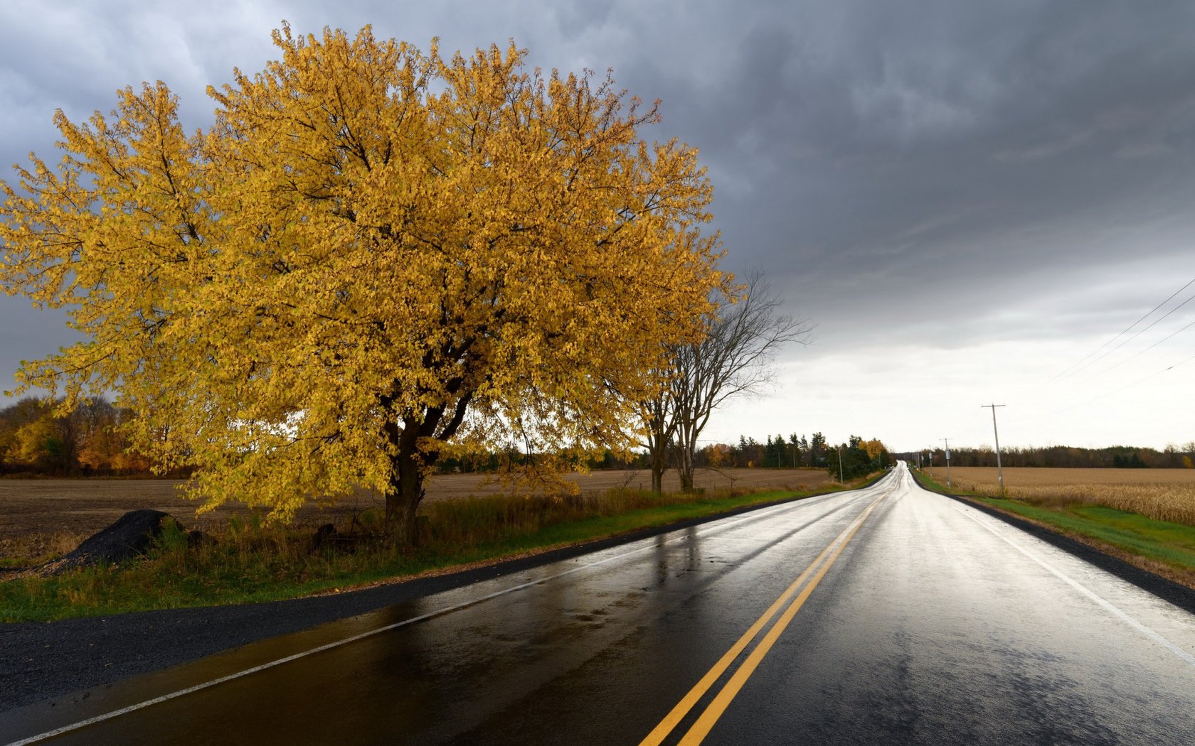 Обои дорога, дерево, поле, осень, урожай, road, tree, field, autumn, harvest разрешение 2112x1188 Загрузить