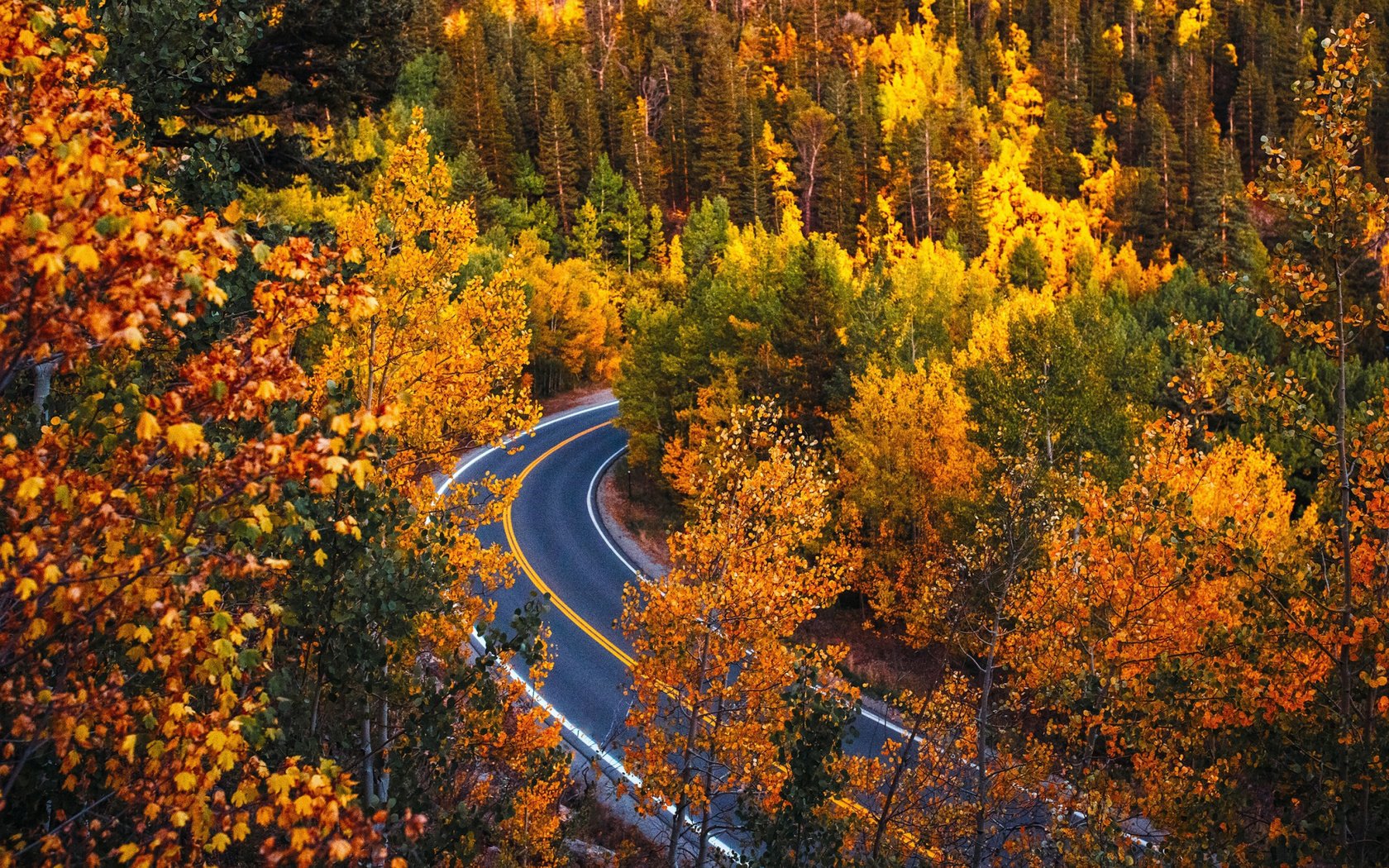 Обои дорога, деревья, лес, осень, колорадо, road, trees, forest, autumn, colorado разрешение 2112x1188 Загрузить