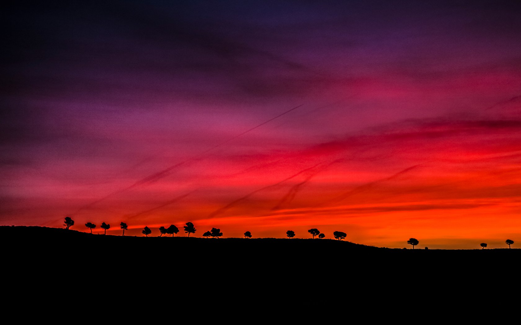 Обои небо, деревья, закат, горизонт, силуэт, the sky, trees, sunset, horizon, silhouette разрешение 4608x3072 Загрузить