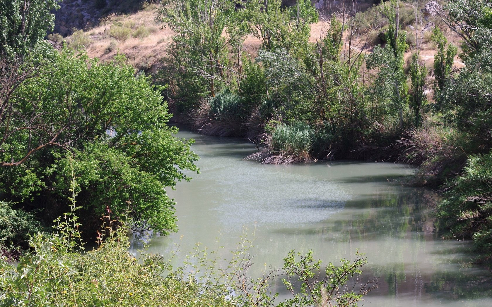 Обои вода, река, природа, отражение, испания, растительность, water, river, nature, reflection, spain, vegetation разрешение 2000x1338 Загрузить