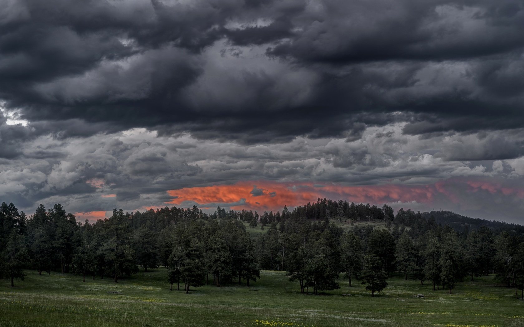 Обои облака, вечер, природа, лес, закат, clouds, the evening, nature, forest, sunset разрешение 2048x1365 Загрузить