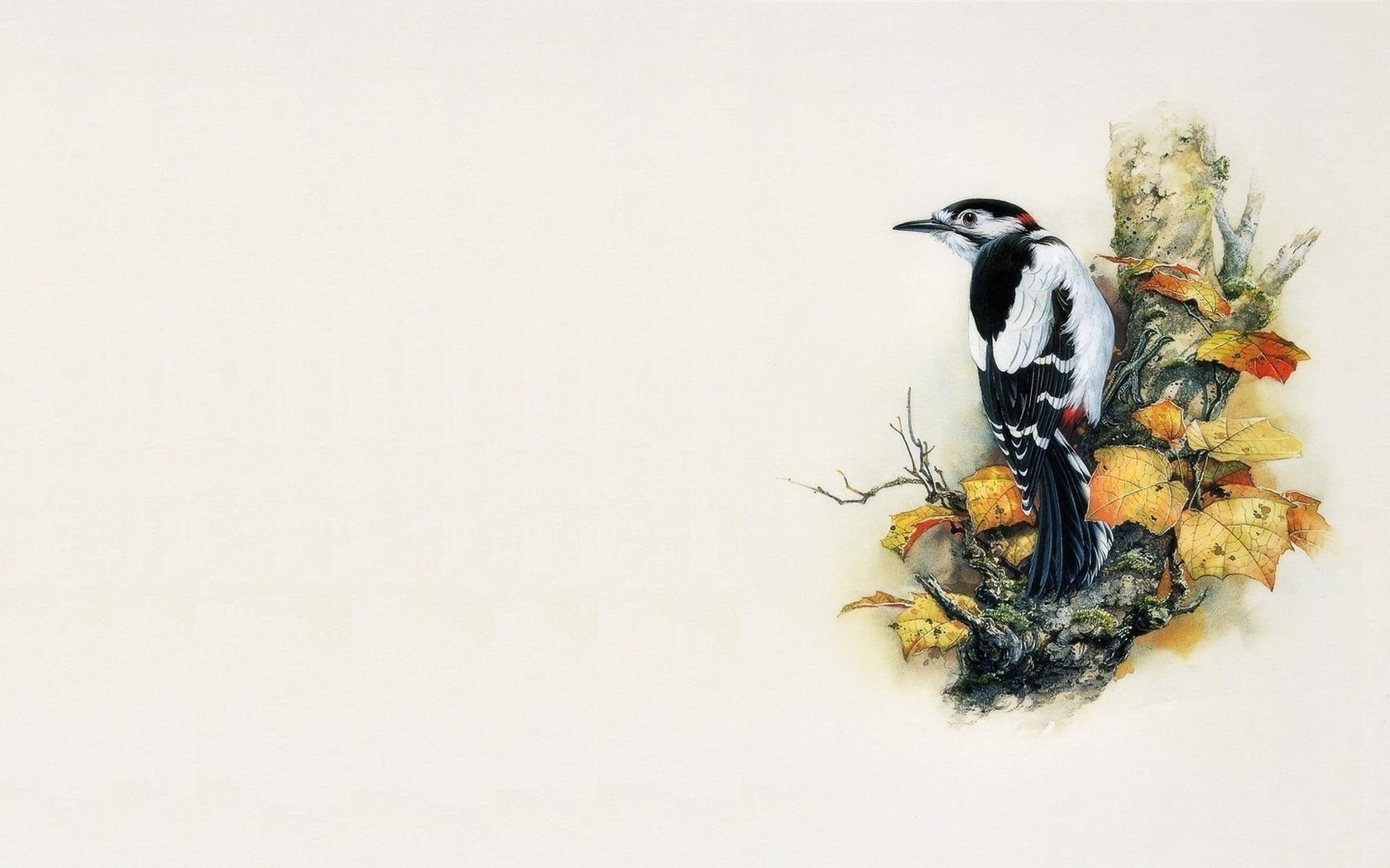 Обои арт, дерево, минимализм, птица, живопись, дятел, zeng xiao lian, art, tree, minimalism, bird, painting, woodpecker разрешение 1920x1080 Загрузить