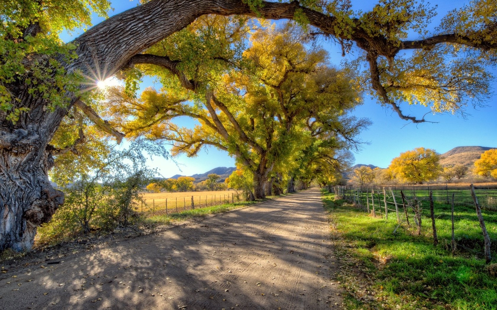 Обои дорога, деревья, солнце, лес, лучи, осень, забор, грунтовая, road, trees, the sun, forest, rays, autumn, the fence разрешение 1920x1080 Загрузить