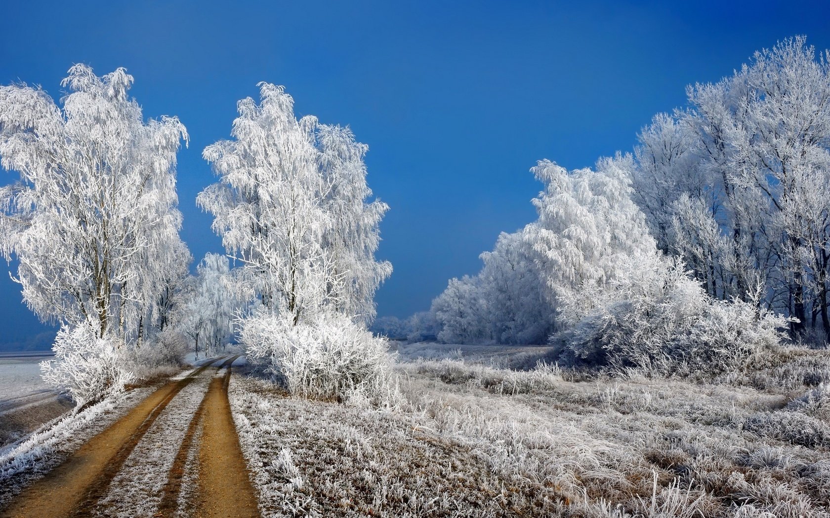 Обои дорога, иней, трава, деревья, снег, природа, зима, пейзаж, кусты, road, frost, grass, trees, snow, nature, winter, landscape, the bushes разрешение 1920x1080 Загрузить