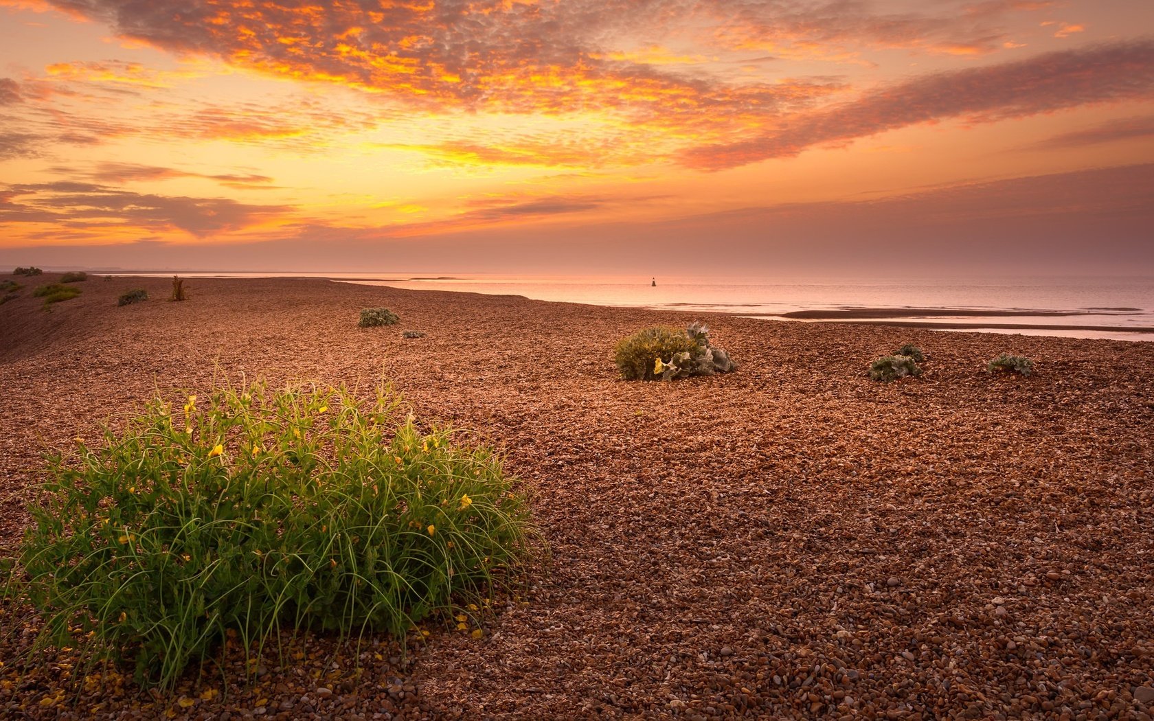 Обои небо, природа, берег, растения, закат, солнечный свет, the sky, nature, shore, plants, sunset, sunlight разрешение 2048x1152 Загрузить