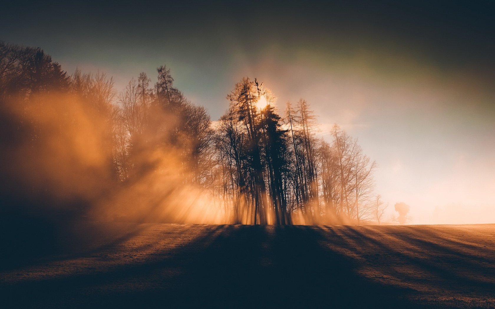 Обои небо, деревья, природа, пейзаж, утро, туман, горизонт, солнечный свет, the sky, trees, nature, landscape, morning, fog, horizon, sunlight разрешение 2048x1365 Загрузить