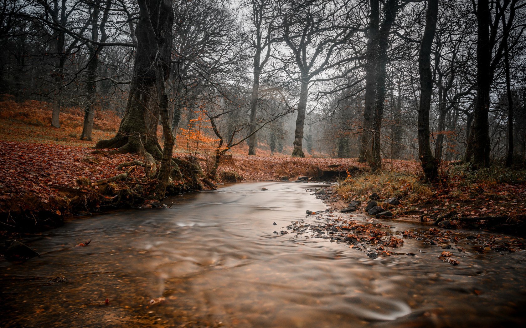 Обои река, лес, ручей, осень, river, forest, stream, autumn разрешение 2112x1188 Загрузить