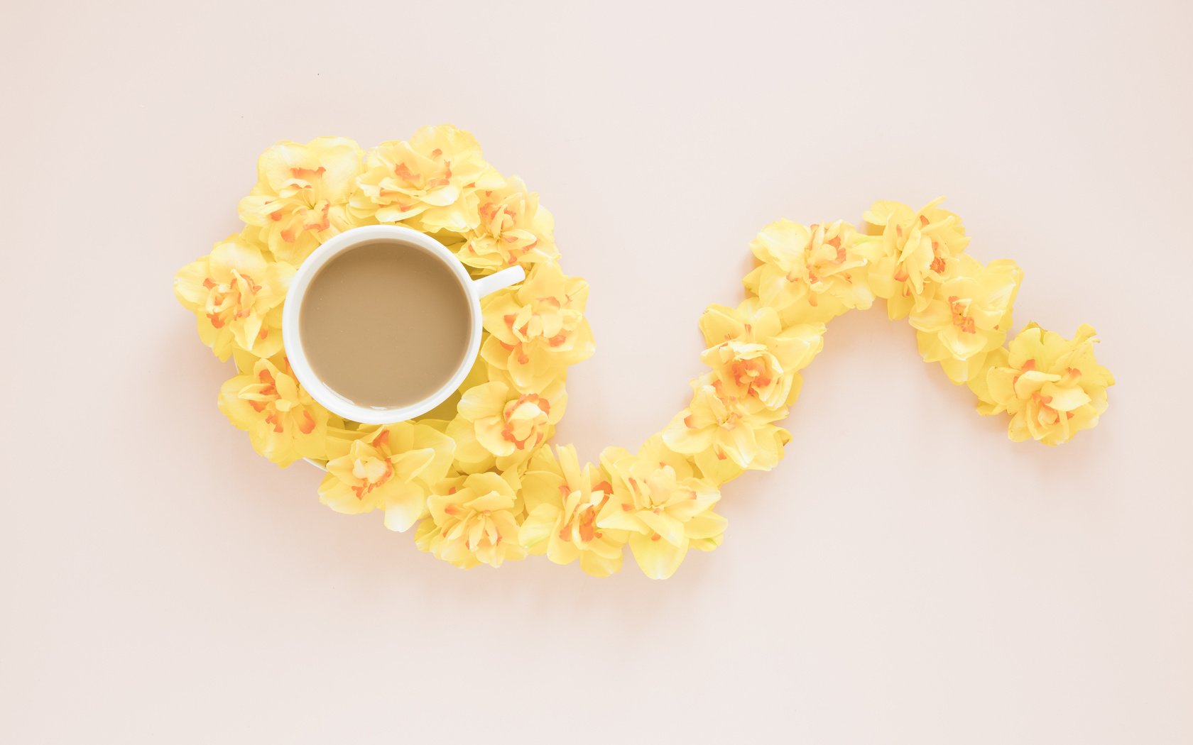 Обои цветы, фон, кофе, чашка, желтые, орхидеи, композиция, flowers, background, coffee, cup, yellow, orchids, composition разрешение 6000x4000 Загрузить