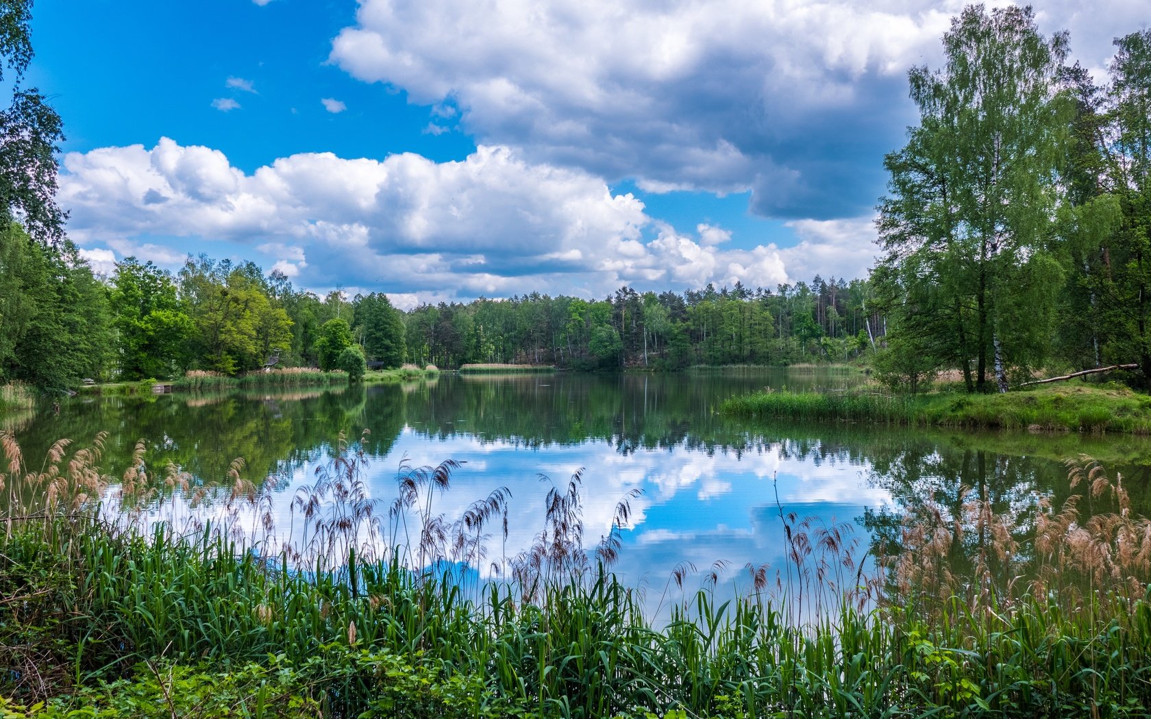 Обои облака, деревья, озеро, природа, лес, отражение, clouds, trees, lake, nature, forest, reflection разрешение 5420x3049 Загрузить