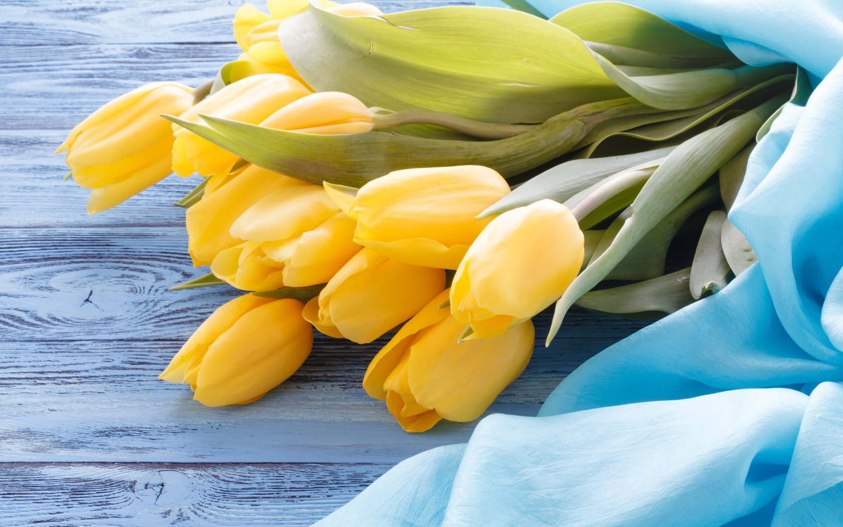 Обои стол, ткань, букет, тюльпаны, желтые, голубая, деревянная поверхность, table, fabric, bouquet, tulips, yellow, blue, wooden surface разрешение 5616x3744 Загрузить