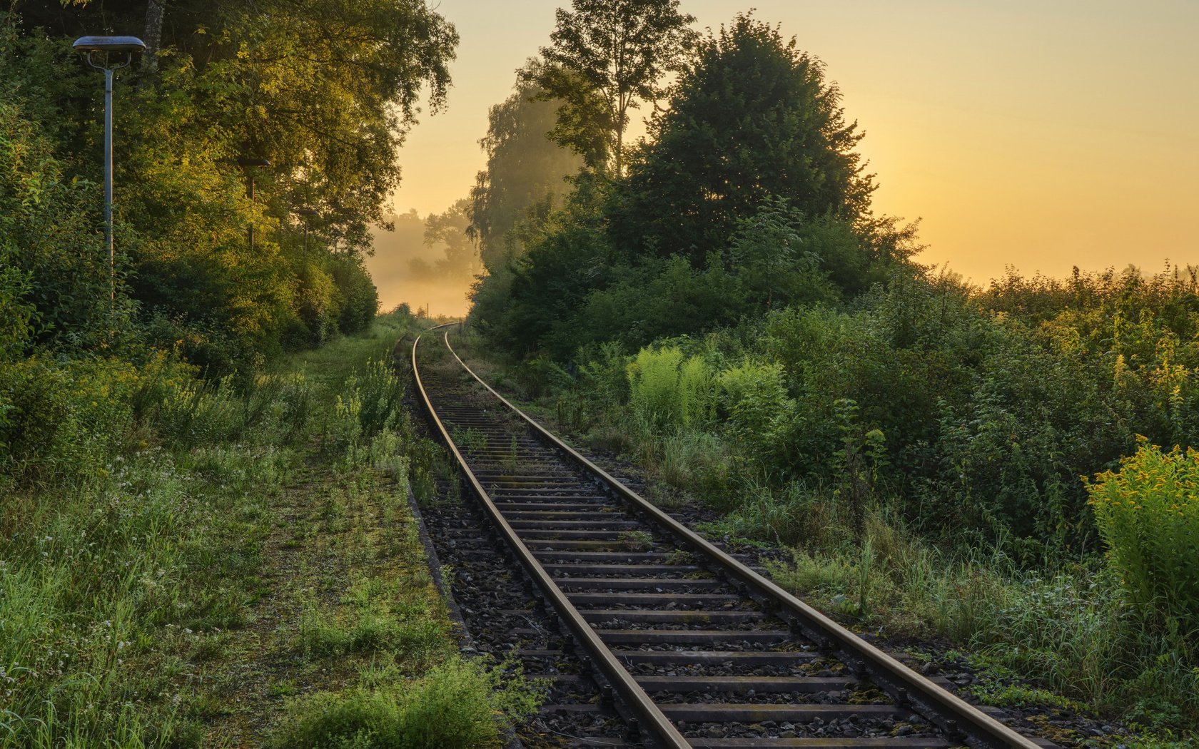 Обои дорога, железная дорога, природа, лес, утро, туман, road, railroad, nature, forest, morning, fog разрешение 2112x1188 Загрузить