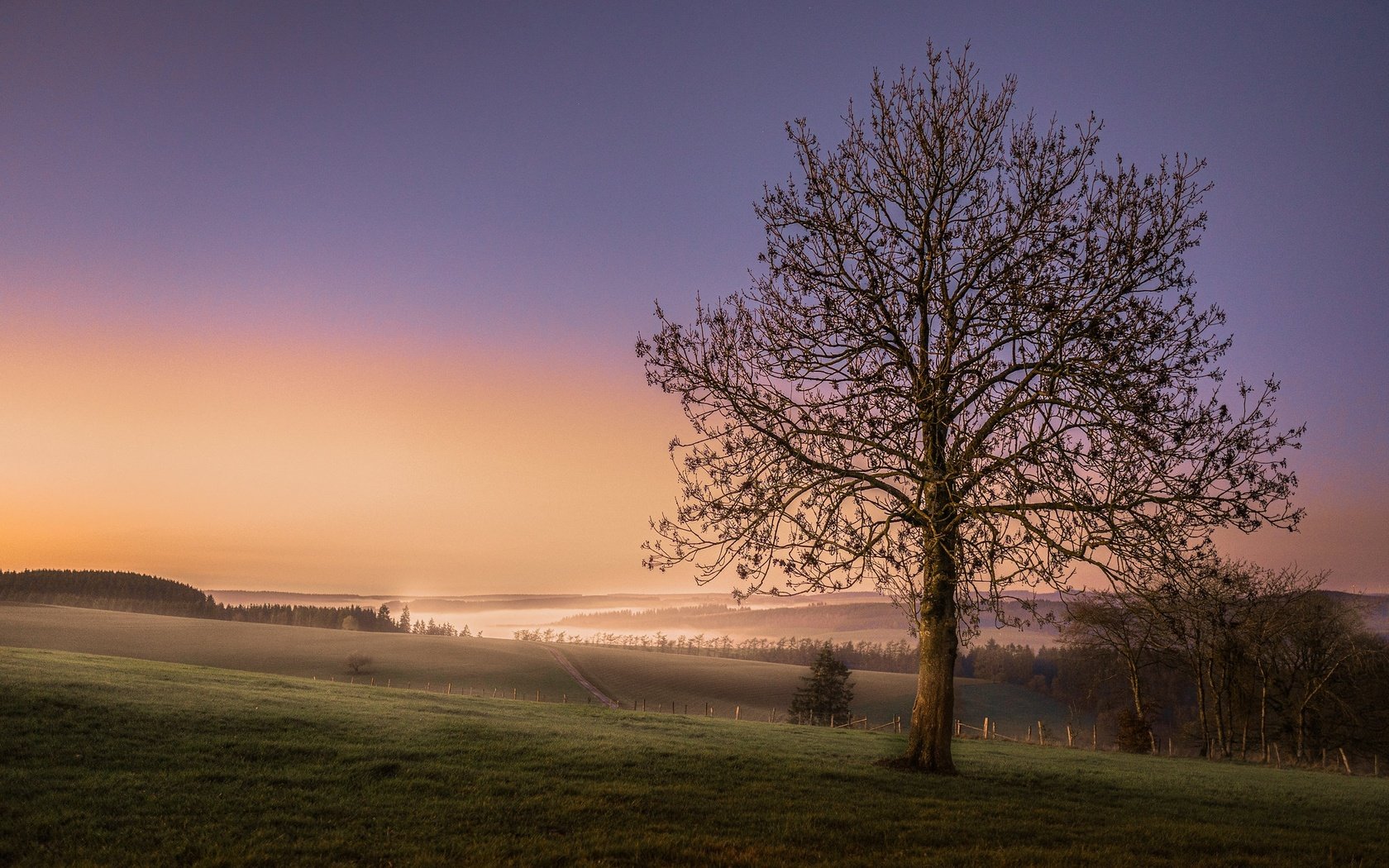 Обои небо, дерево, закат, поле, горизонт, the sky, tree, sunset, field, horizon разрешение 2048x1365 Загрузить