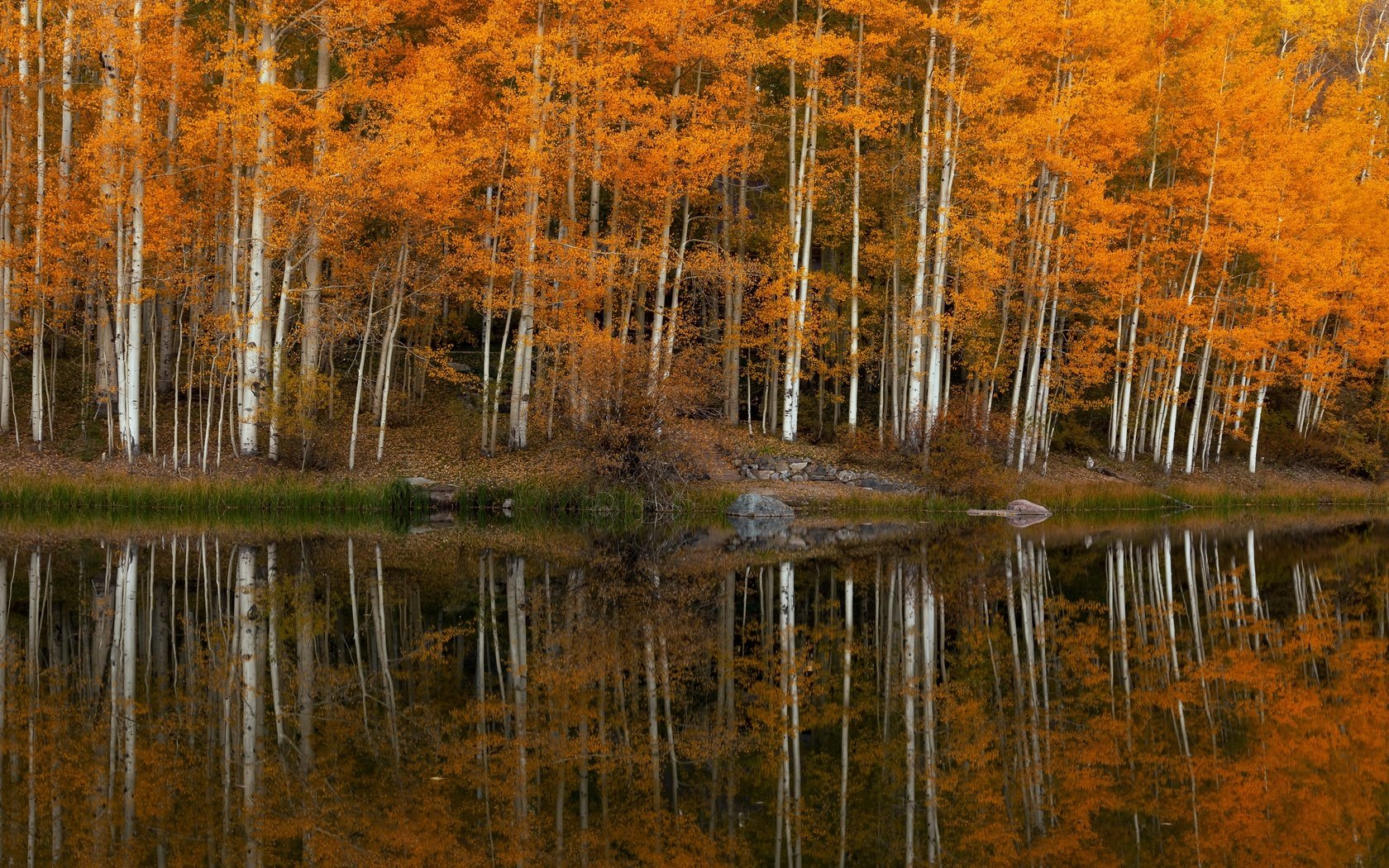 Обои деревья, озеро, trees, lake разрешение 3840x2160 Загрузить