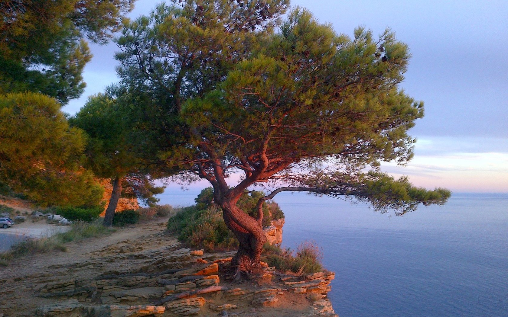 Обои дерево, море, скала, франция, лазурный берег, tree, sea, rock, france, cote d'azur разрешение 2048x1383 Загрузить