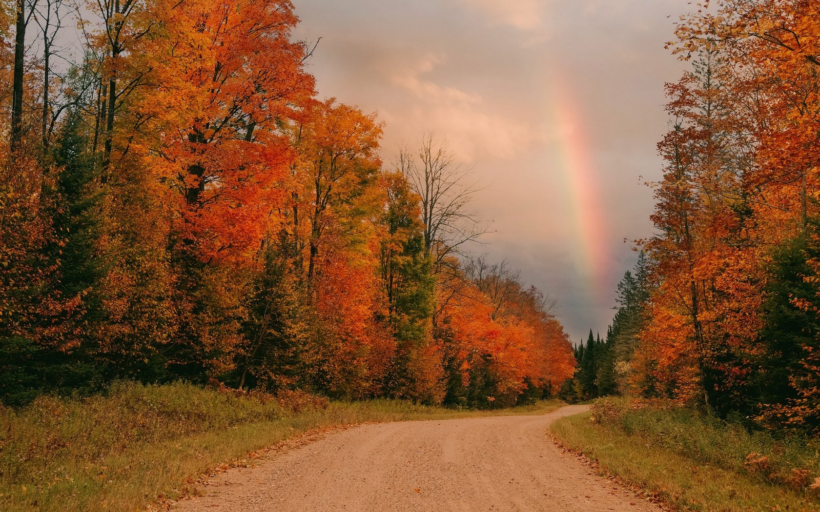 Обои дорога, осень, радуга, road, autumn, rainbow разрешение 3840x2160 Загрузить