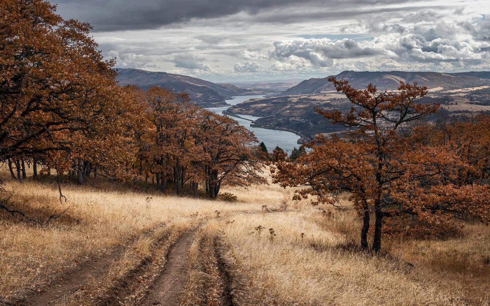 Обои дорога, природа, осень, road, nature, autumn разрешение 3840x2160 Загрузить