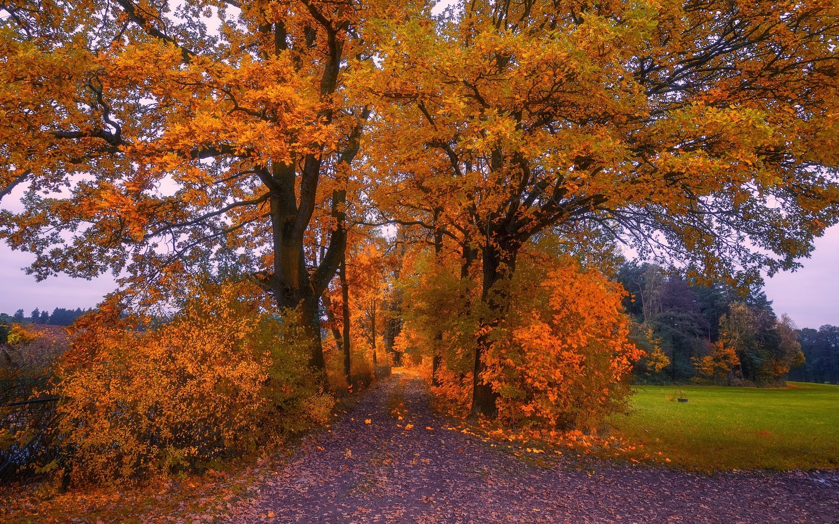 Обои природа, осень, nature, autumn разрешение 3840x2160 Загрузить