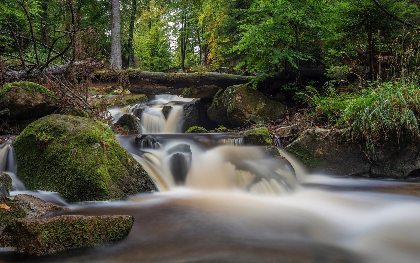 Обои река, камни, лес, водопад, мох, германия, каскад, harz national park, саксония-анхальт, saxony-anhalt, river, stones, forest, waterfall, moss, germany, cascade разрешение 2048x1152 Загрузить