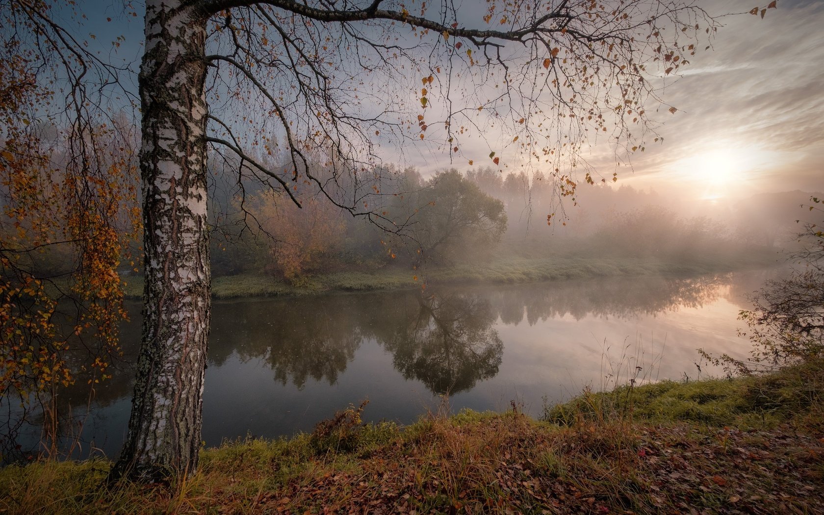 Обои река, осень, солнце, береза, природа, дерево, лучи, пейзаж, утро, туман, river, autumn, the sun, birch, nature, tree, rays, landscape, morning, fog разрешение 1920x1280 Загрузить