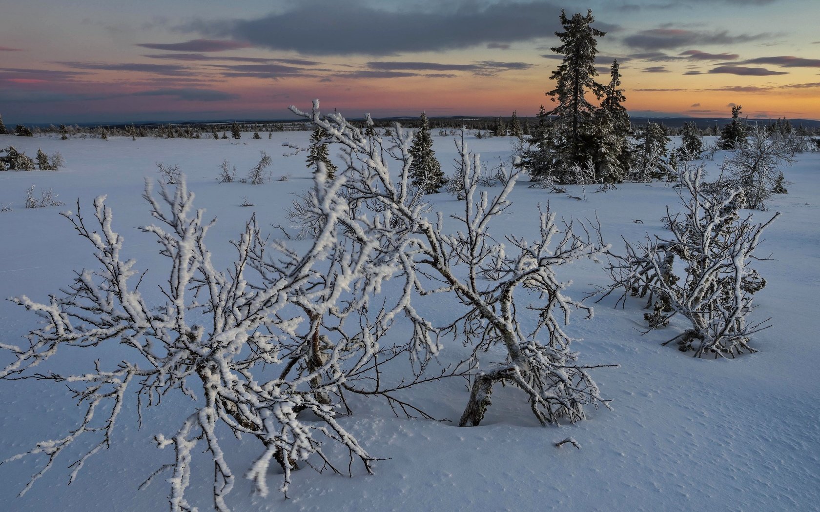 Обои снег, закат, snow, sunset разрешение 3840x2160 Загрузить