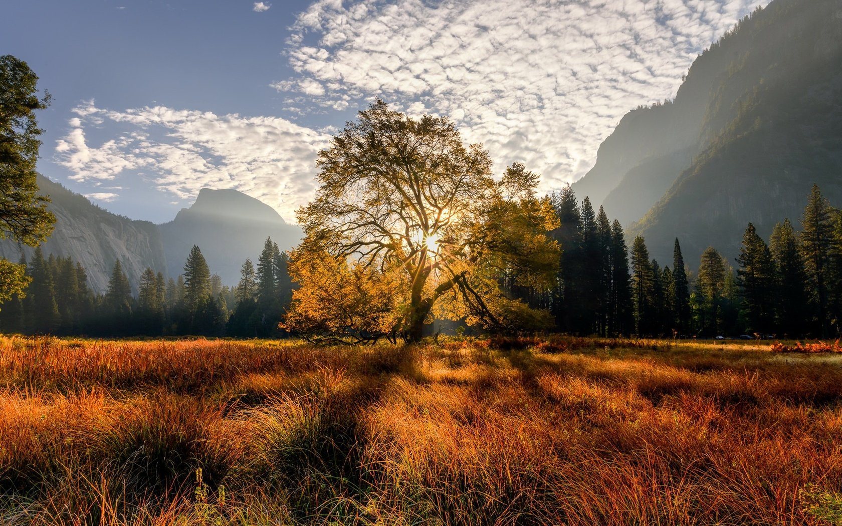 Обои деревья, горы, trees, mountains разрешение 2048x1365 Загрузить