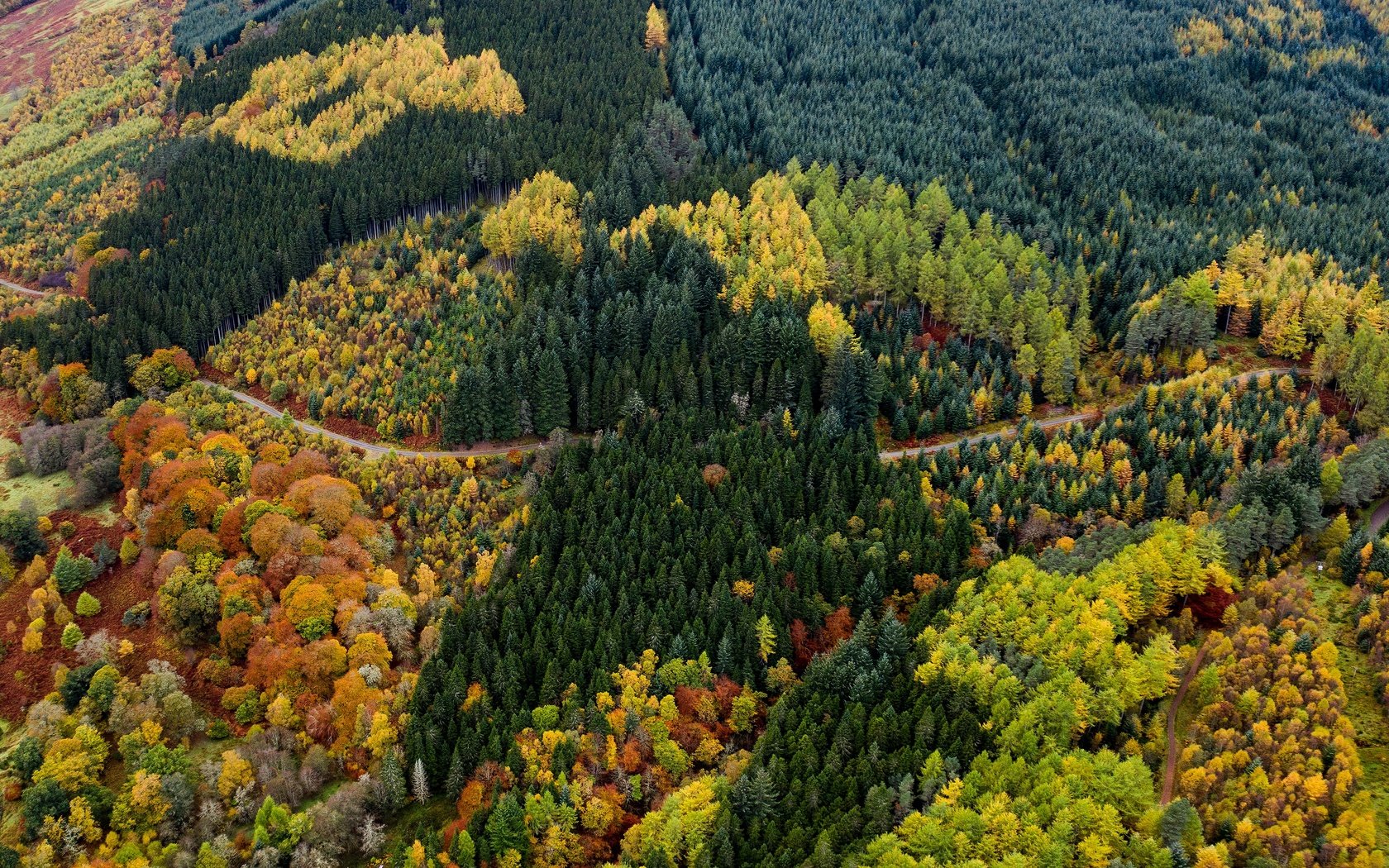 Обои дорога, лес, вид, осень, красота, краски осени, вид с высоты, road, forest, view, autumn, beauty, the colors of autumn, the разрешение 3840x2160 Загрузить