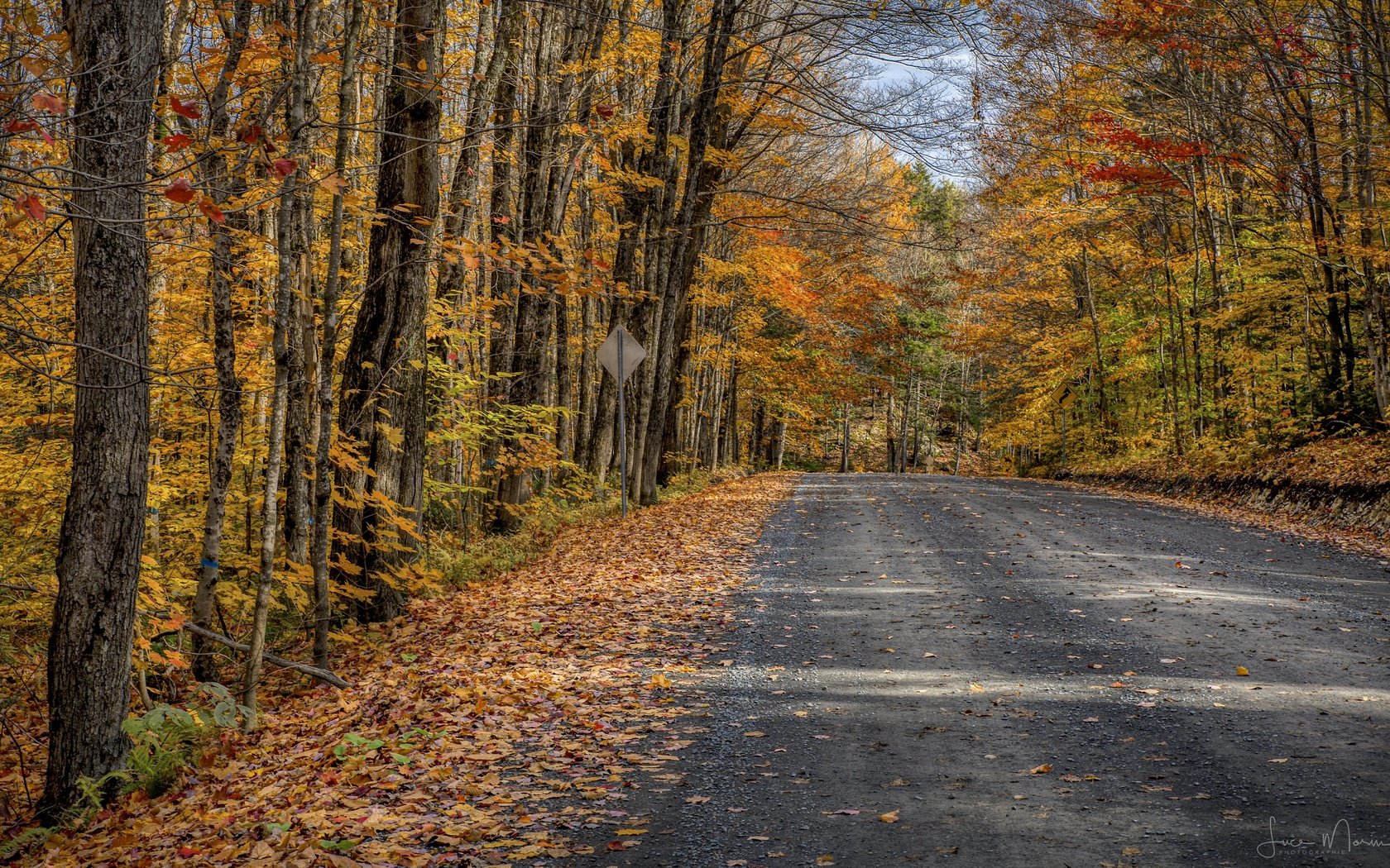 Обои дорога, осень, road, autumn разрешение 3840x2160 Загрузить