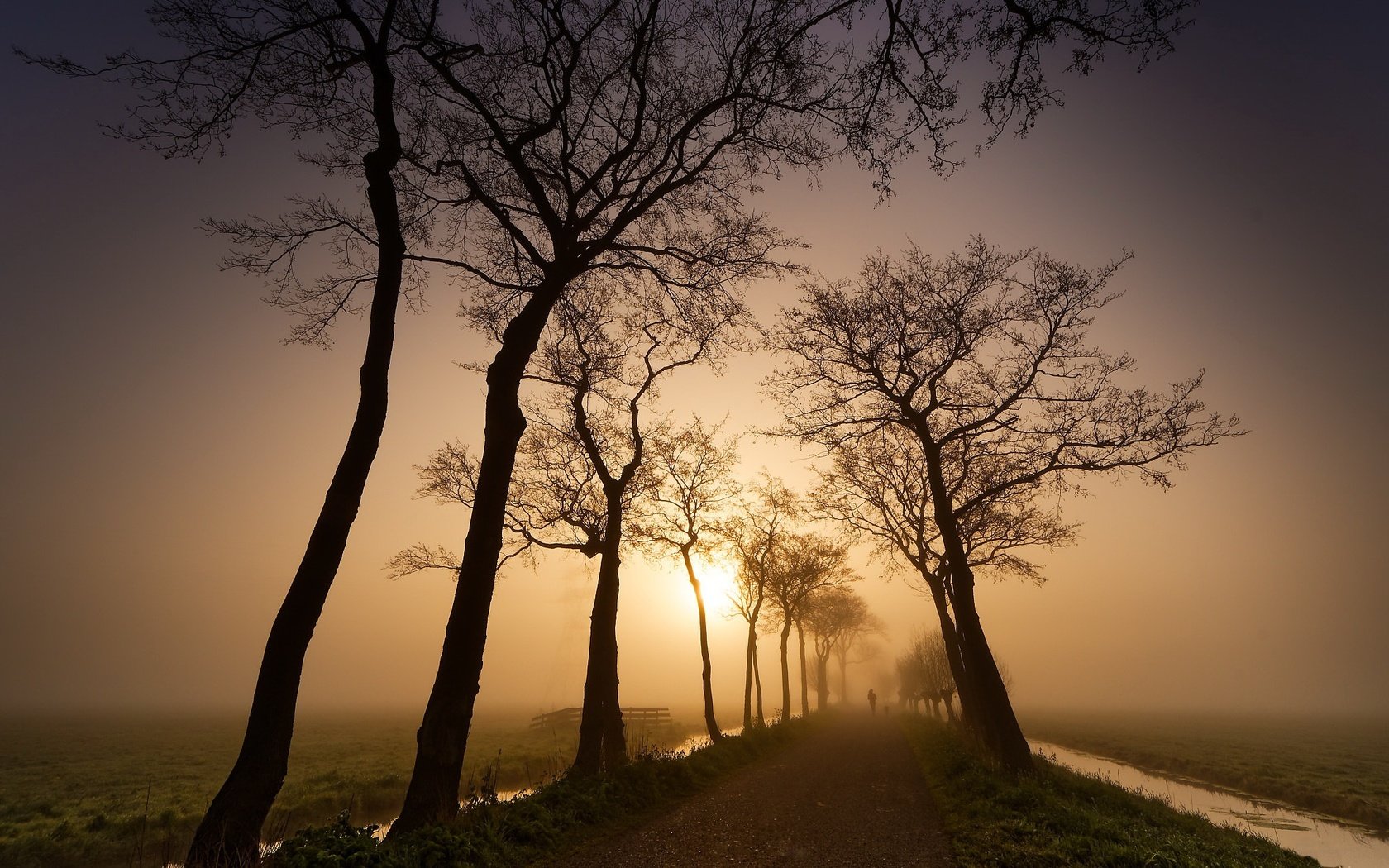 Обои дорога, природа, закат, road, nature, sunset разрешение 2048x1365 Загрузить