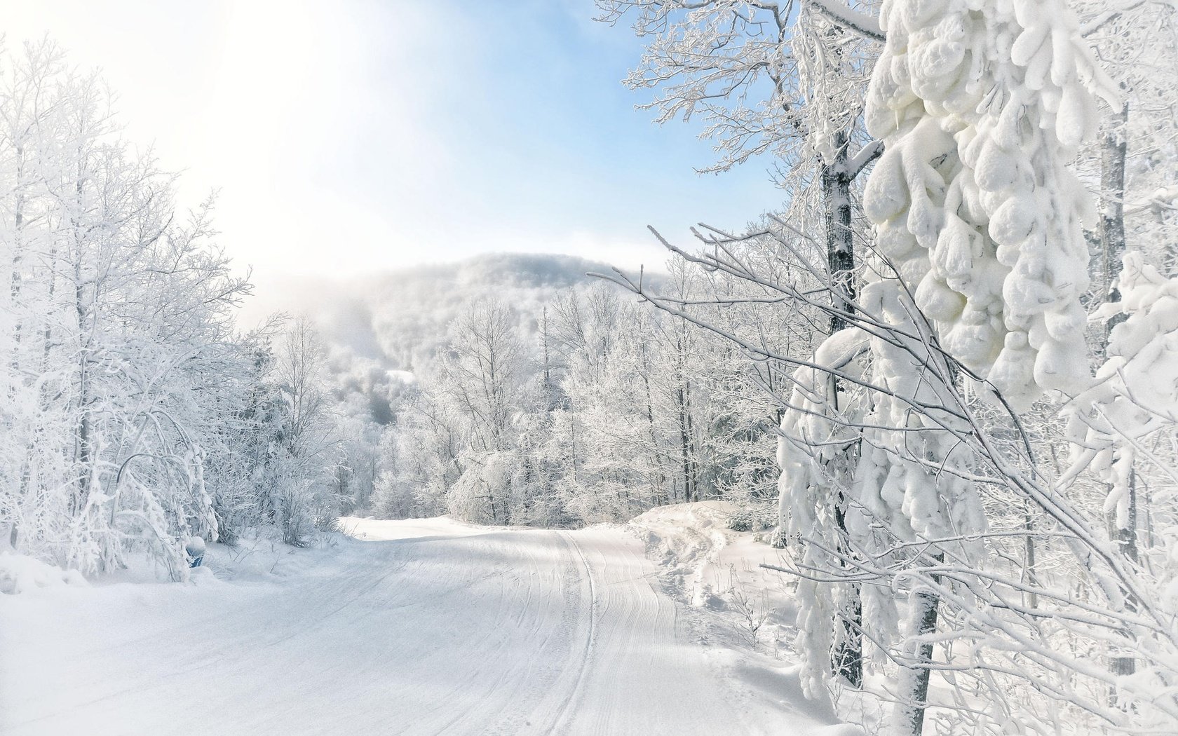 Обои небо, дорога, природа, лес, зима, ветки, иней, the sky, road, nature, forest, winter, branches, frost разрешение 2048x1356 Загрузить