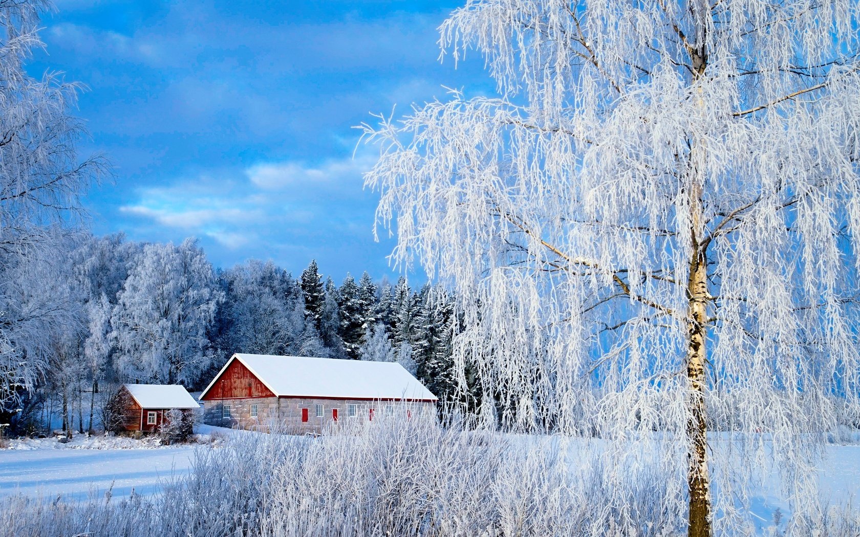 Обои снег, зима, зимний лес, snow, winter, winter forest разрешение 3056x1931 Загрузить