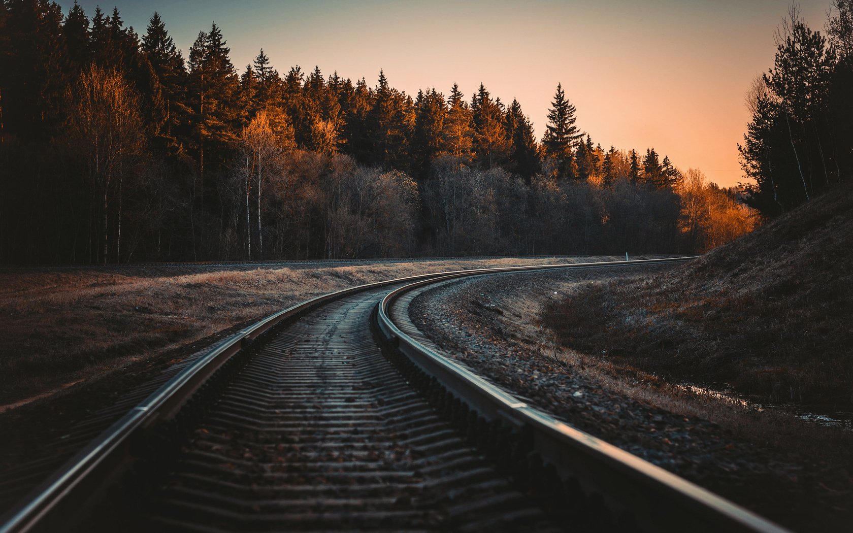 Обои железная дорога, рельсы, лес, осень, railroad, rails, forest, autumn разрешение 3840x2400 Загрузить