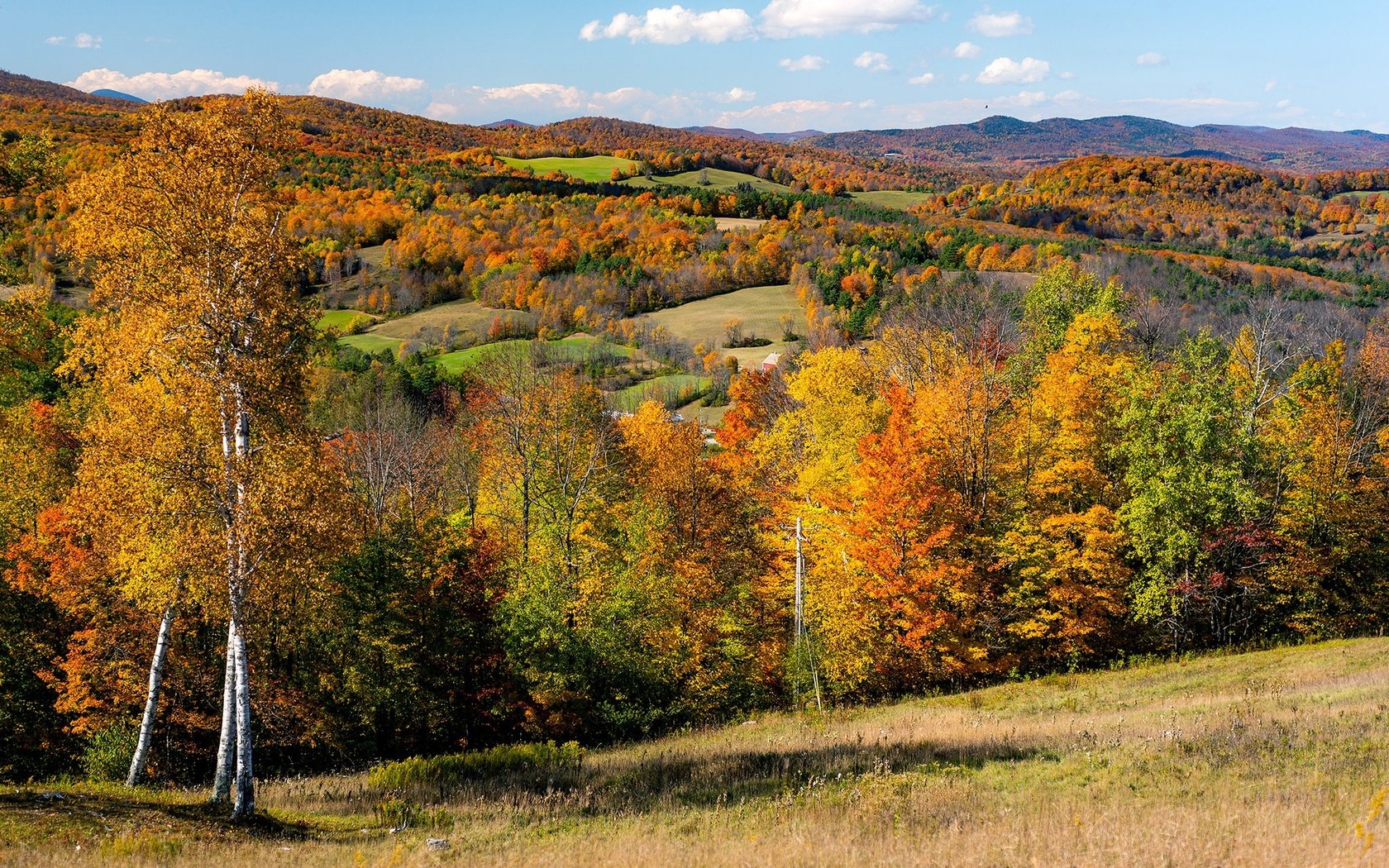 Обои деревья, солнце, холмы, поля, осень, сша, леса, вермонт, trees, the sun, hills, field, autumn, usa, forest, vermont разрешение 2048x1351 Загрузить