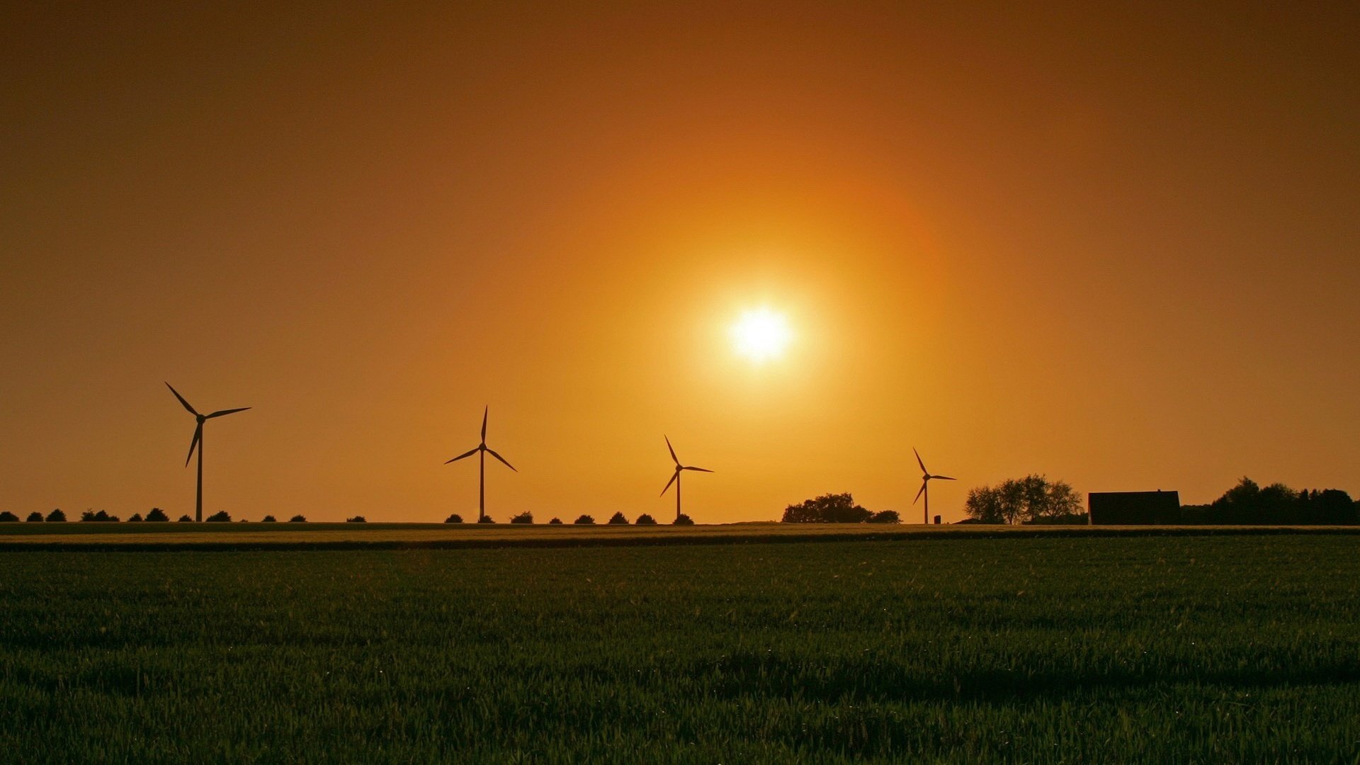 Обои солнце, поле, ветряк, the sun, field, windmill разрешение 1920x1200 Загрузить