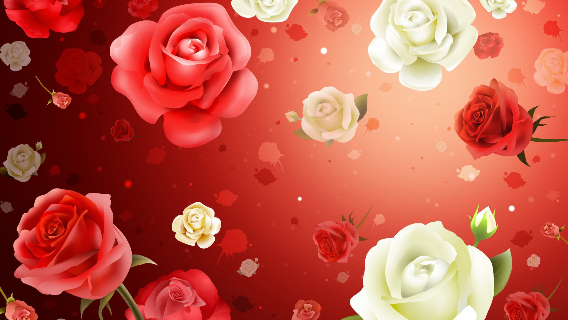 Обои цветы, обои, фон, розы, flowers, wallpaper, background, roses разрешение 2587x1687 Загрузить