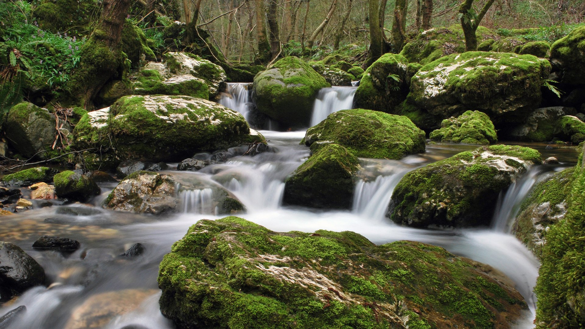 Обои вода, камни, ручей, water, stones, stream разрешение 2560x1600 Загрузить