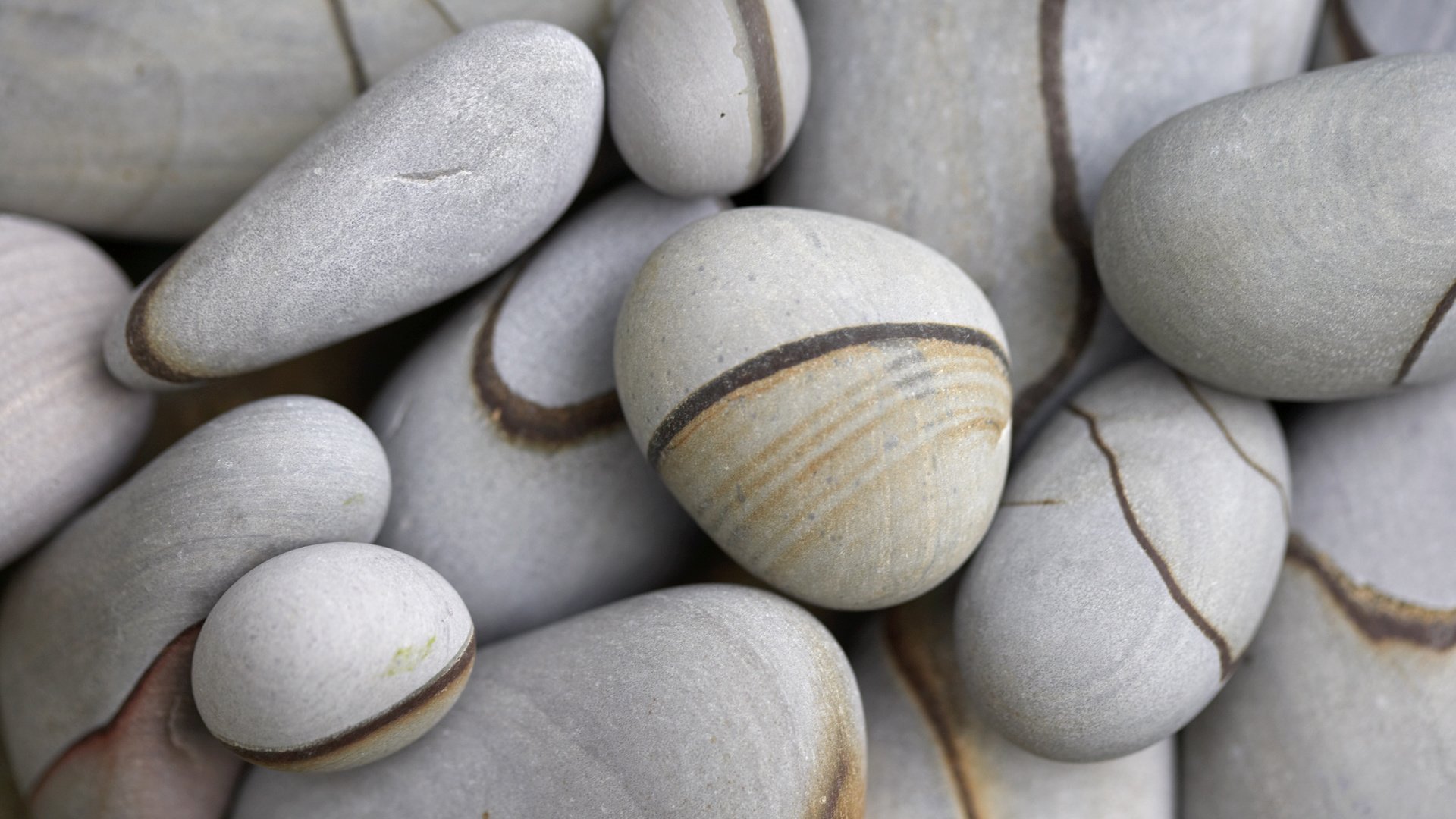 Обои галька, камень, серое, pebbles, stone, grey разрешение 2560x1600 Загрузить